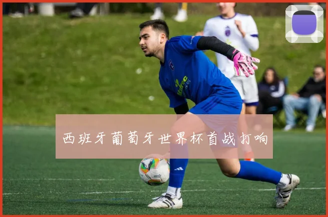 西班牙葡萄牙世界杯首战打响