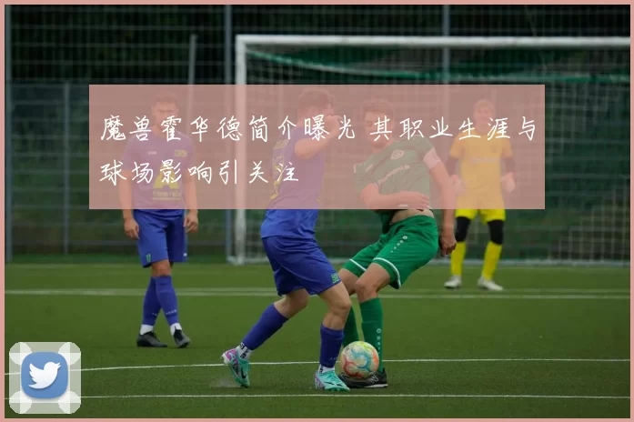 魔兽霍华德简介曝光 其职业生涯与球场影响引关注